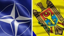 România va asigura cooperarea Republicii Moldova cu NATO